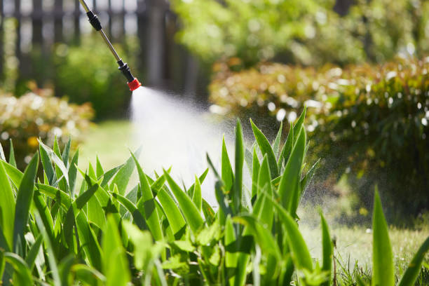 24/7 Emergency Wasp Removal experts in Fletcher, NC