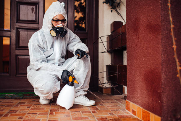 Reliable Wasp Removal contractor in Fletcher, NC by Show Me Pest Control